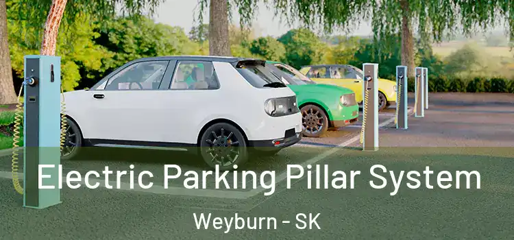  Electric Parking Pillar System Weyburn - SK