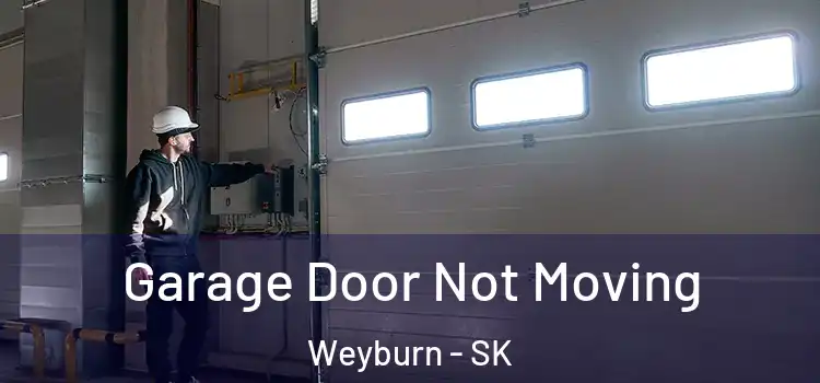  Garage Door Not Moving Weyburn - SK
