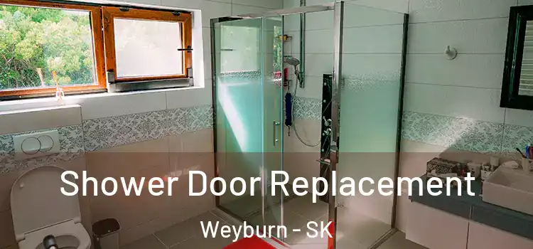 Shower Door Replacement Weyburn - SK